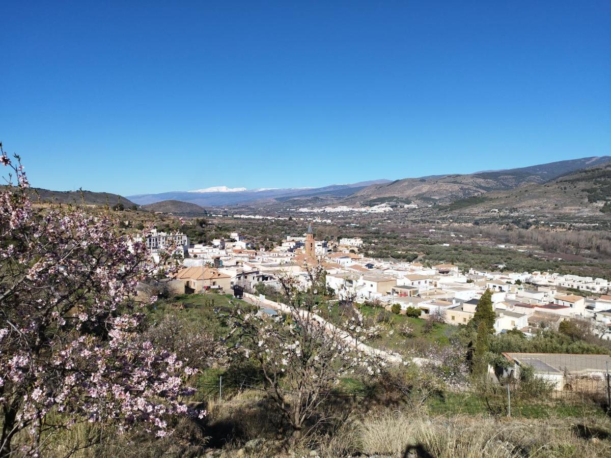 Los Olivos De Fondón 외부 사진